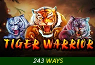 Tiger Warrior - WINGBET138