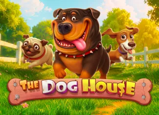 Pragmatic : The Dog House - WINGBET138